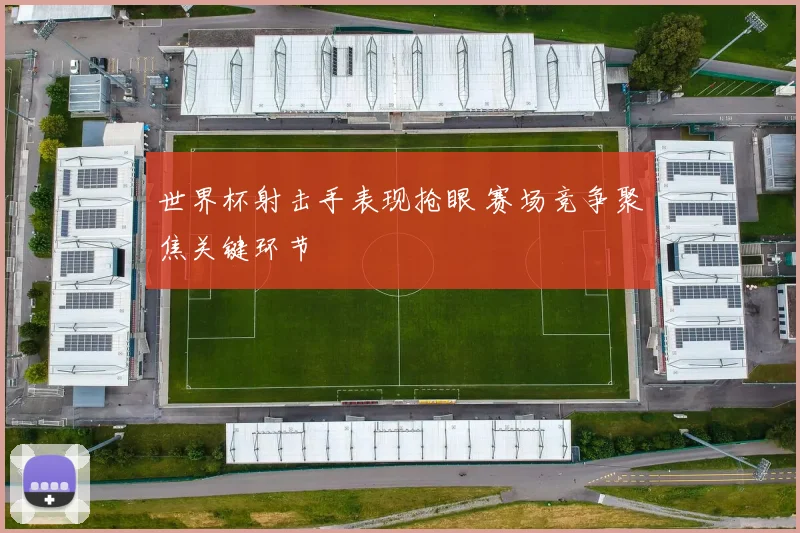 世界杯射击手表现抢眼 赛场竞争聚焦关键环节