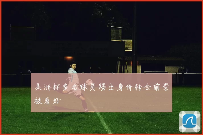 美洲杯多名球员踢出身价转会前景被看好