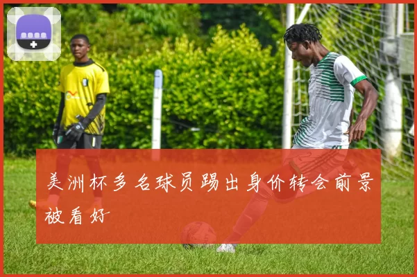 美洲杯多名球员踢出身价转会前景被看好