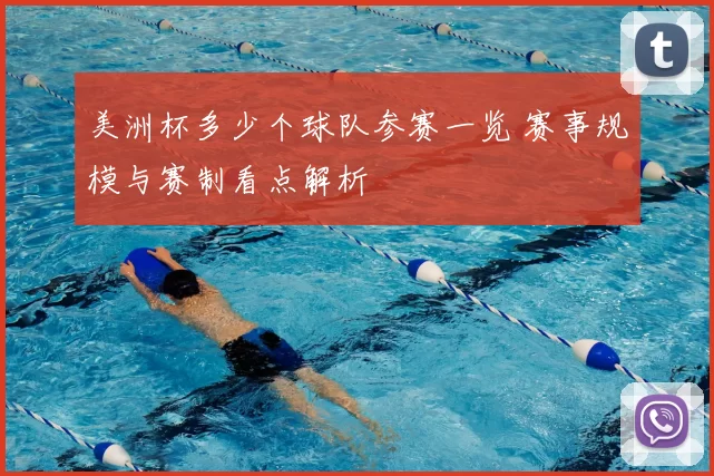 美洲杯多少个球队参赛一览 赛事规模与赛制看点解析