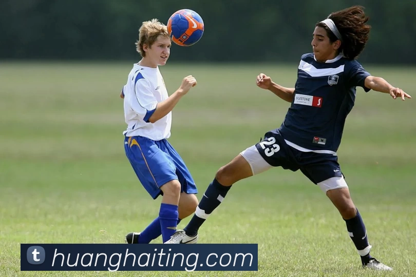 欧宝官方端网站登录入口 - 欧宝online(中国)平台生态图